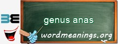 WordMeaning blackboard for genus anas